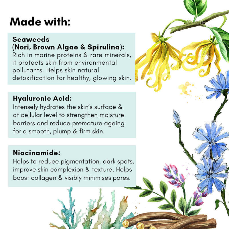 Seaweeds, Hyaluronic Acid & Niacinamide Deep Nourishing Gel; Oil Free
